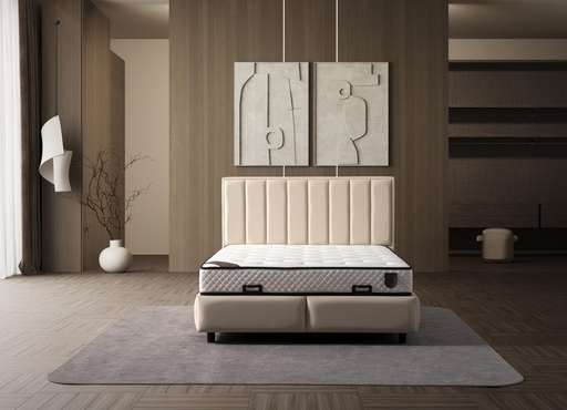 DREAM  180*200